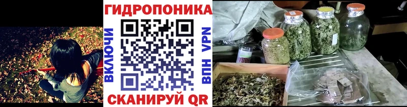 Как найти закладки Болгар АМФ  Мефедрон  Псилоцибиновые грибы  ГАШИШ  Бошки Шишки  APVP 