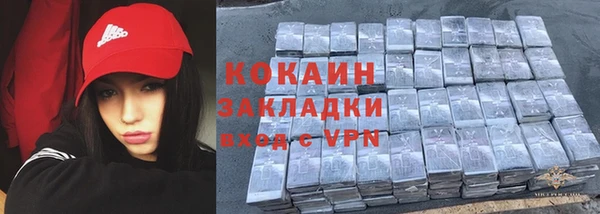 прущие грибы Балахна