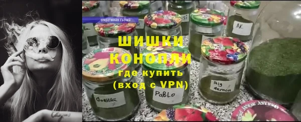 прущие грибы Балахна