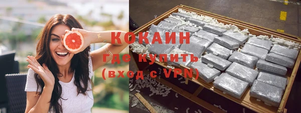 прущие грибы Балахна