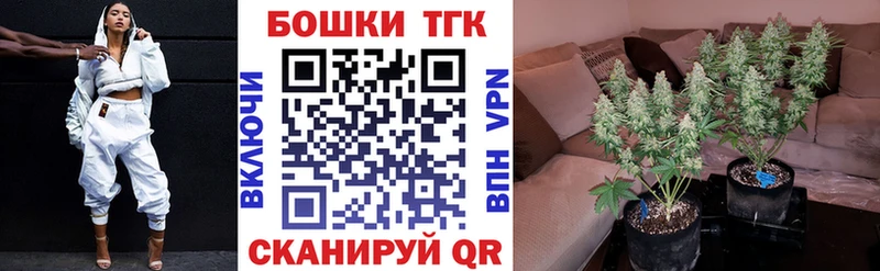 как найти закладки  Болгар  Канабис конопля 